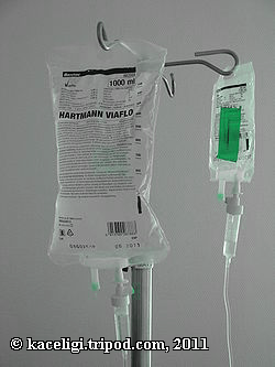 intravenous nurses society standards of practice