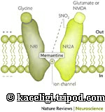 memantine drug interactions