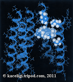 oxymetazoline hcl